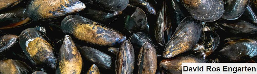 mejillones